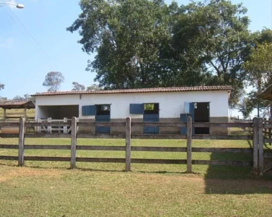 Imagem LINDO HARAS à VENDA, EM JUATUBA!