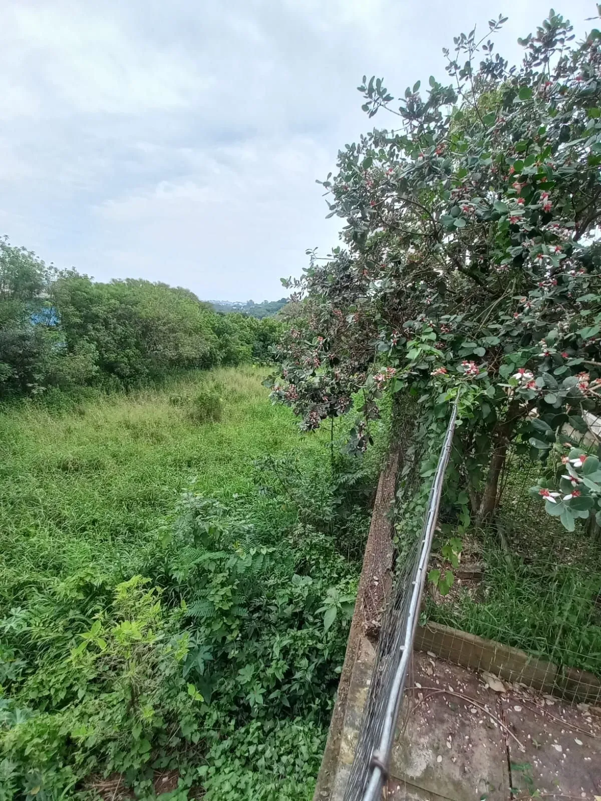 Imagem Terreno com Projeto Aprovado para 33 sobrados na Zona Sul de Porto Alegre