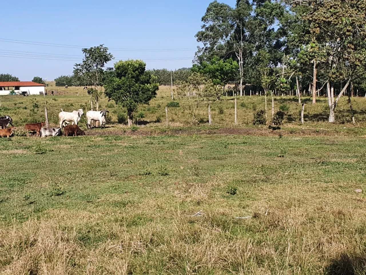 Imagem Chácara à venda 2 Quartos, 50000M², Zona Rural, Potim - SP