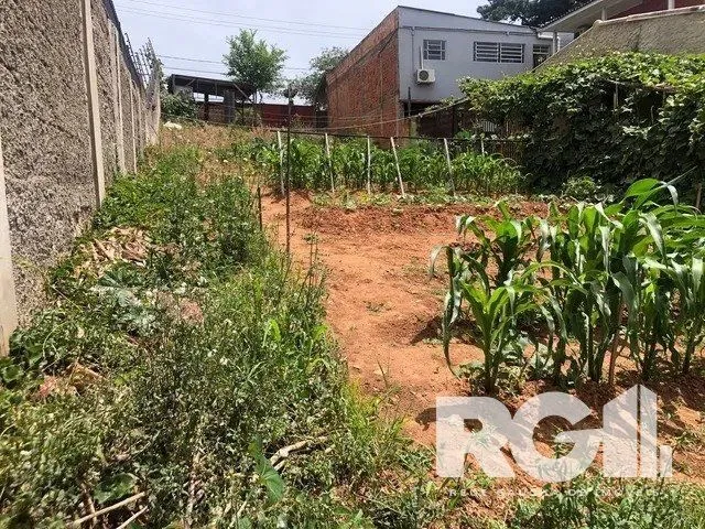 Imagem Terreno em Jardim Floresta