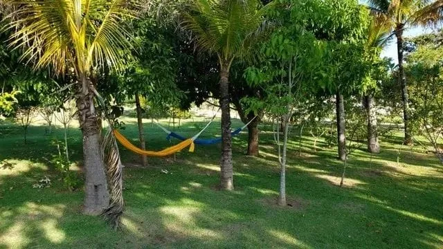 Imagem Casa à venda 3 Quartos, 2 Suites, Fazenda Itapecerica, Taubaté - SP | Quinta das Palmeiras