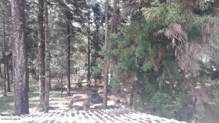 Imagem CHACARA RURAL em POÇOS DE CALDAS - MG, MORADA DOS PÁSSAROS