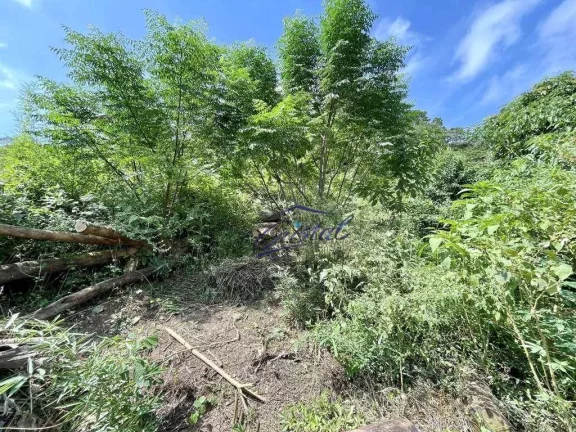 Imagem Terreno à venda, 907 m² - Granja Viana - Cotia/SP