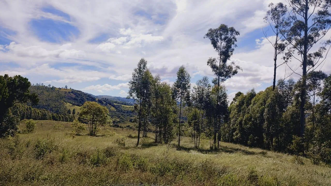 Imagem Excelente Terreno à Venda em Desterro de Entre Rios: 15 Hectares Totalmente Plano