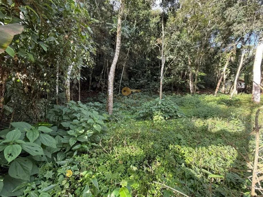 Imagem Terreno para Venda em Teresópolis / no bairro Albuquerque