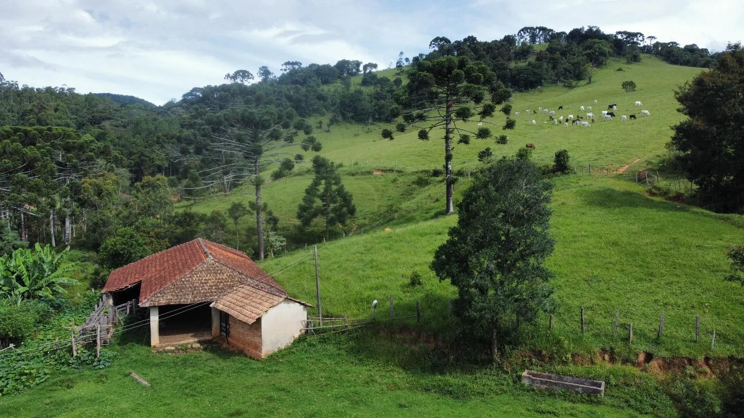 Imagem Sítio em Joanópolis - 11 alqueires