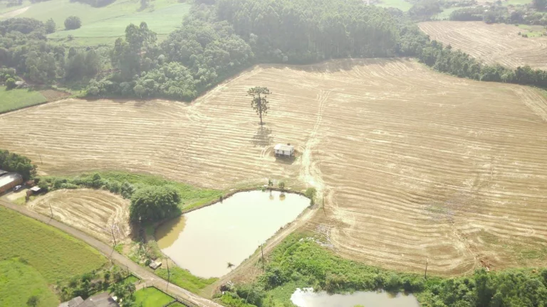 Imagem Área Agrícola para Venda em Concórdia, Tamanduá