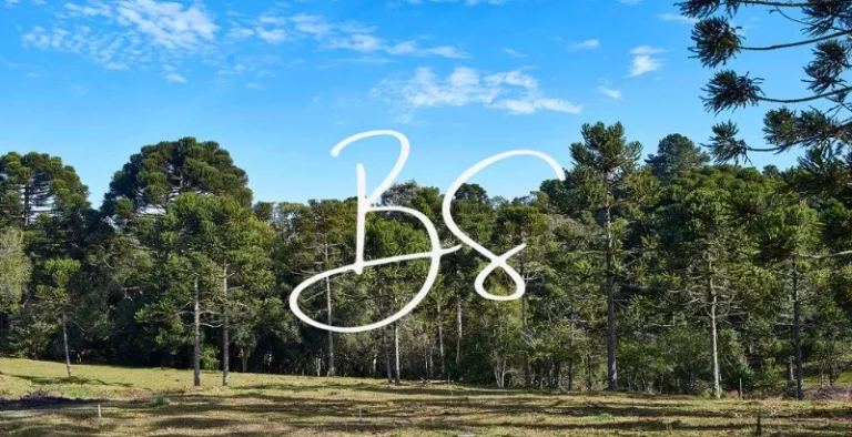 Imagem TERRENO RESIDENCIAL em SÃO FRANCISCO DE PAULA - RS, Centro