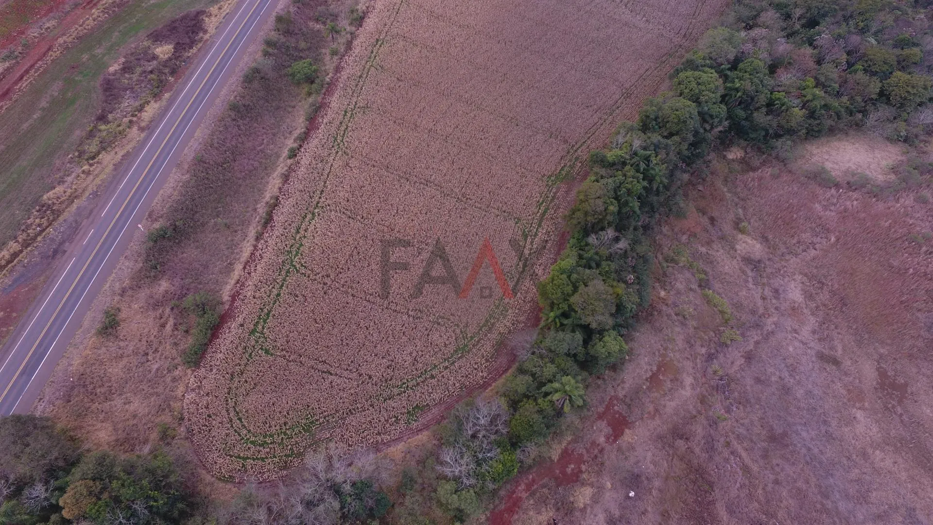 Imagem Chácara, ALAGADO, GUARAPUAVA - PR