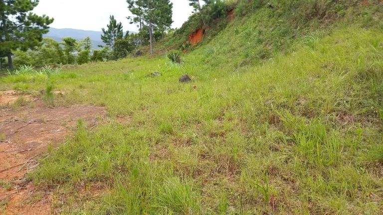 Imagem Terreno de 2640m² em Garopaba-SC: Escritura Pública e Alto Potencial de Valorização!