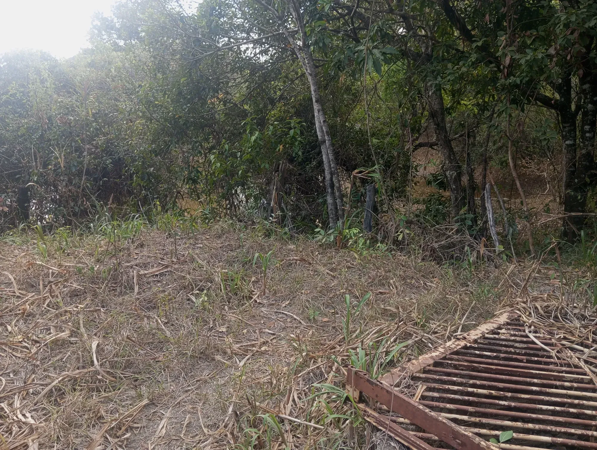 Imagem Chácara com 1 Quarto à Venda, 5.000 m² em Ravena - Sabará