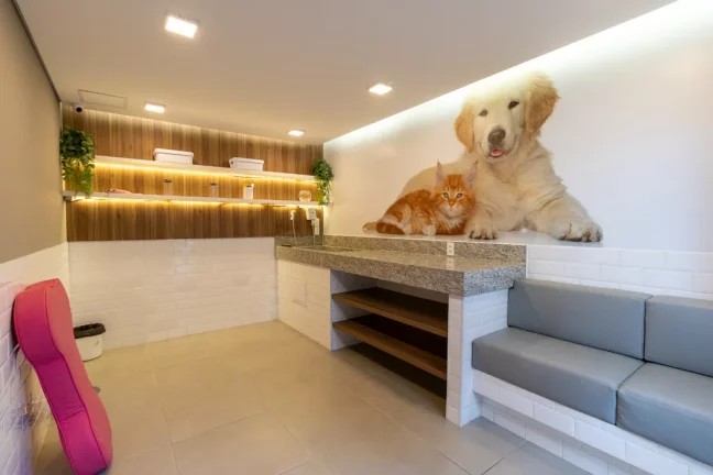 Imagem Apartamento à venda em São Paulo, Jardim da Glória, com 1 quarto, 29m2