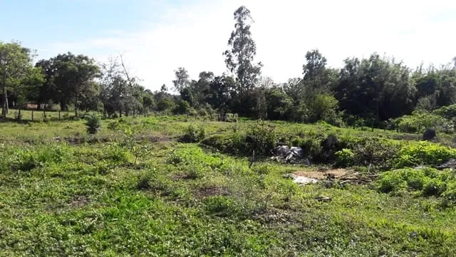 Imagem Chácara à venda 3 Quartos, 1 Suite, 4 Vagas, 8933.77M², Feital, Pindamonhangaba - SP
