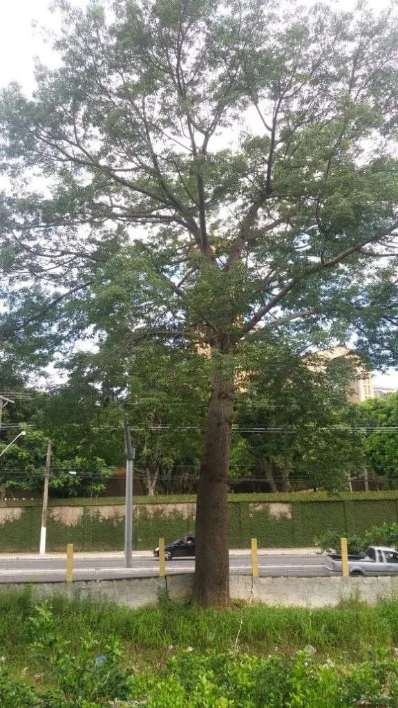 Imagem Terreno à venda 2180M², Ponte Alta, Aparecida - SP
