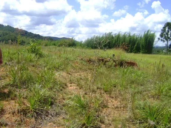 Imagem Área Industrial e Comercial Mairiporã
