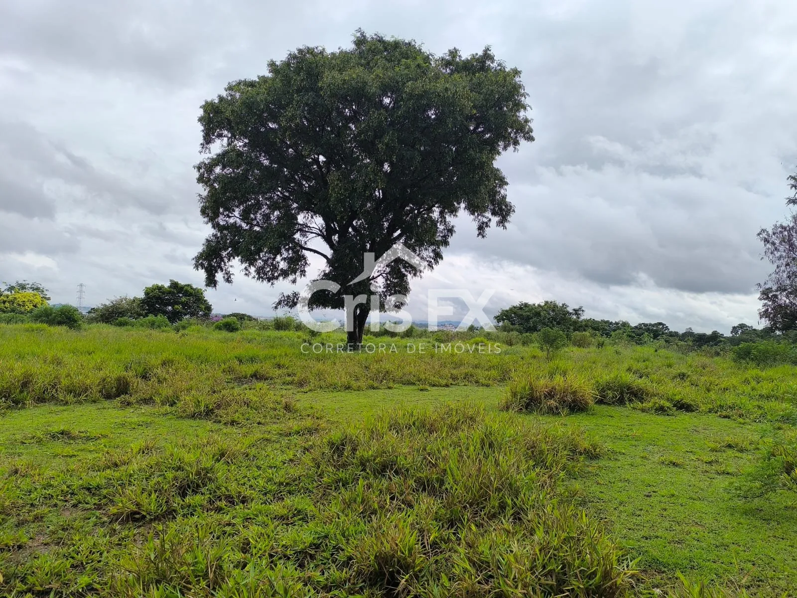 Imagem Lote/Terreno de 15000m² no bairro Vista Alegre, em Vinhedo