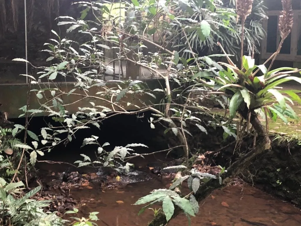 Imagem Chácara à venda 1 Quarto, 57596M², Pinga, Pindamonhangaba - SP
