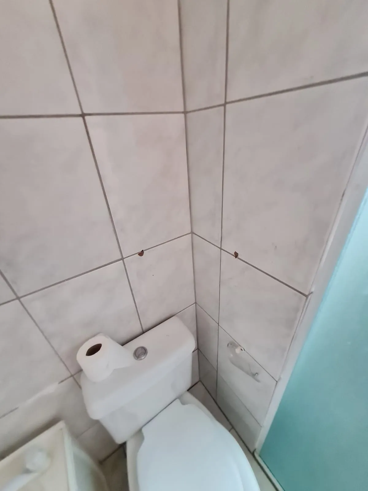 Imagem VENDO LINDO SOBRADO DE DOIS DORMITÓRIOS NO BAIRRO AMERICANÓPOLIS!