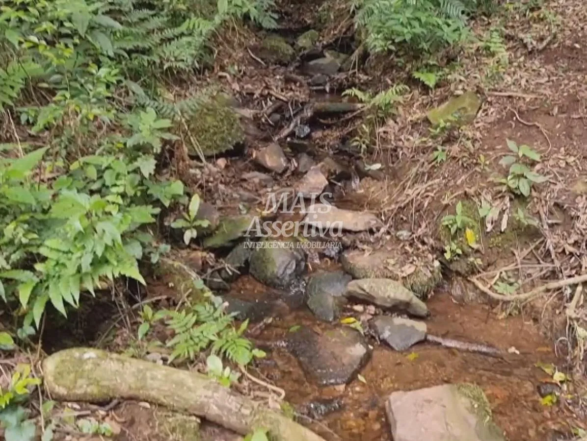 Imagem Sítio para Venda em São Francisco De Paula / RS no bairro Centro