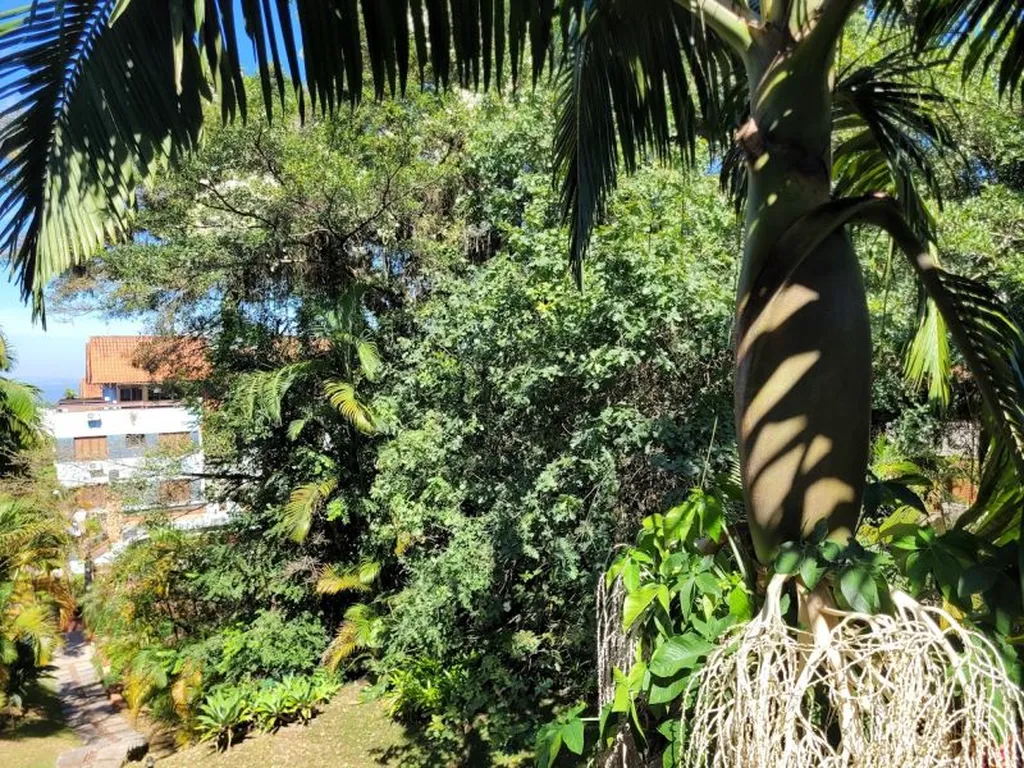 Imagem Apartamento em Cavalhada