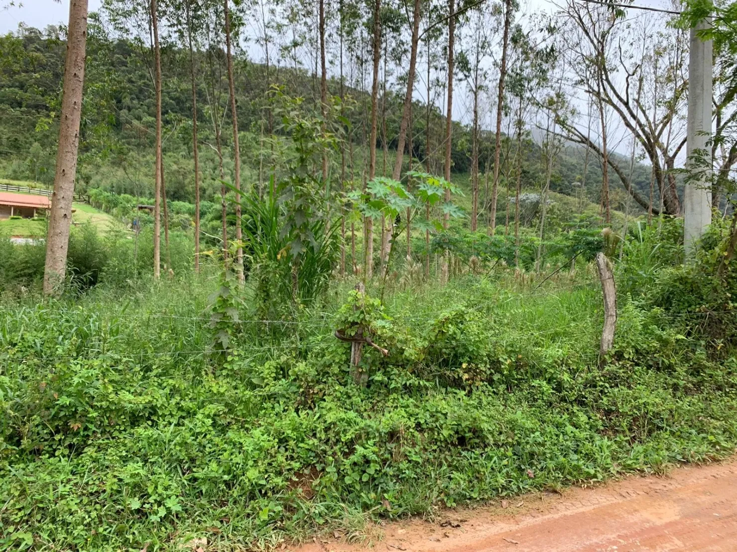 Imagem Chácara à venda Zona Rural, Lagoinha - SP