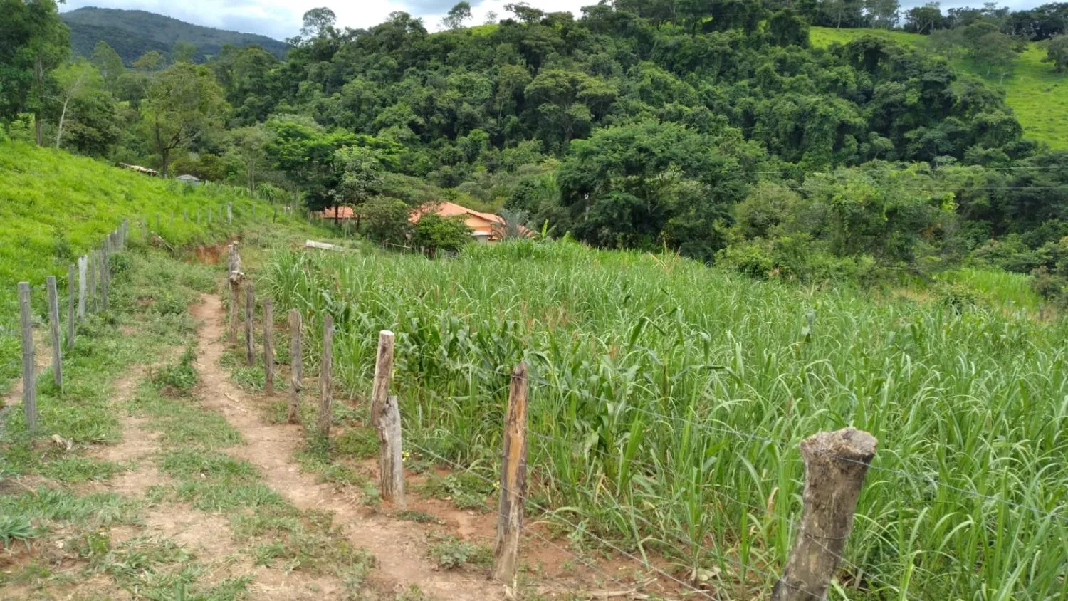 Imagem Vendo um ótimo sítio em Itaguara/Mg com 78.000 m² de terra,