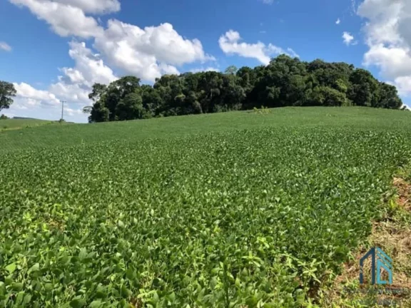 Imagem Área a venda terreno Rural para plantio e chácara na Lapa Paraná