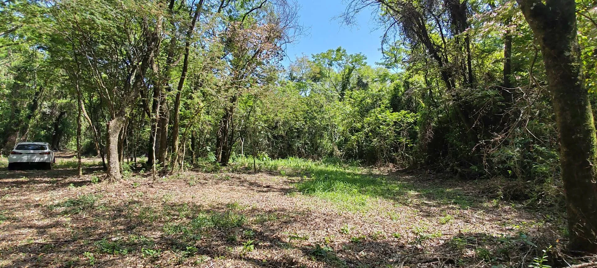 Imagem Chácara a venda em Cascavel, com 2,0992 hectare cada uma e matrícula indiviauais.