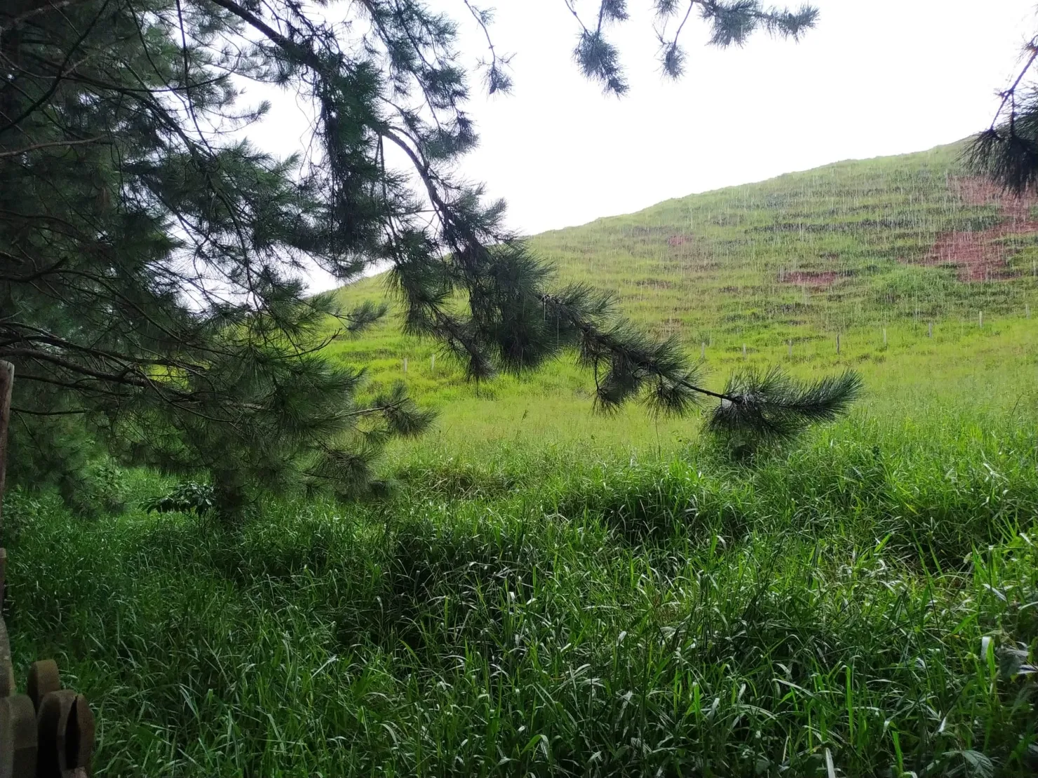 Imagem Chácara à venda 30000M², Zona Rural, Silveiras - SP