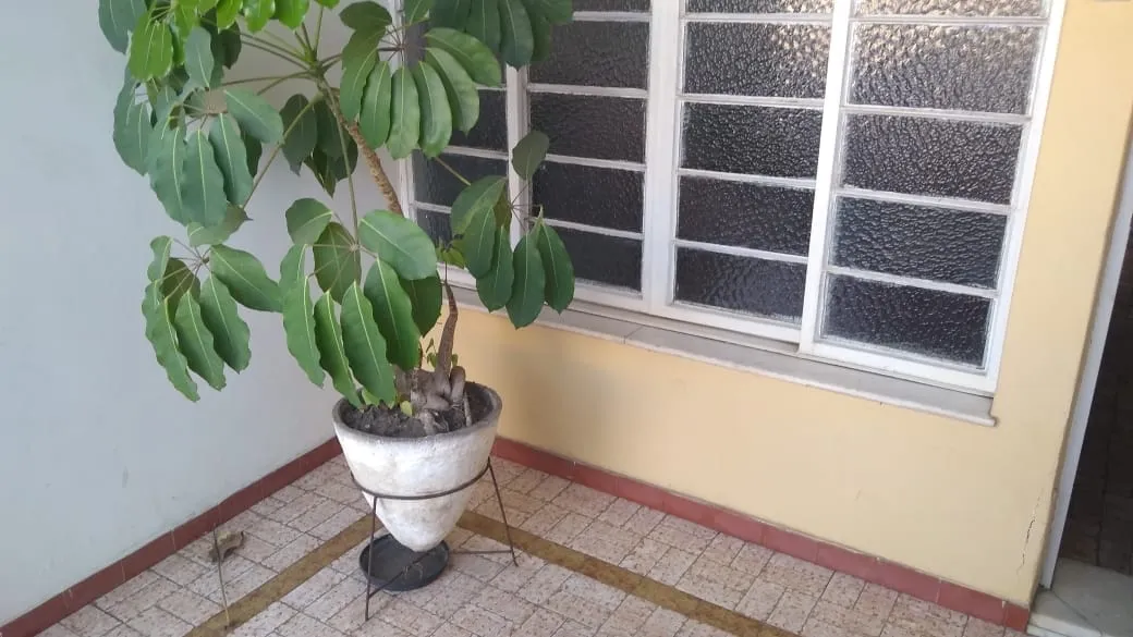 Imagem Casa à venda 4 Quartos, Centro, Roseira - SP