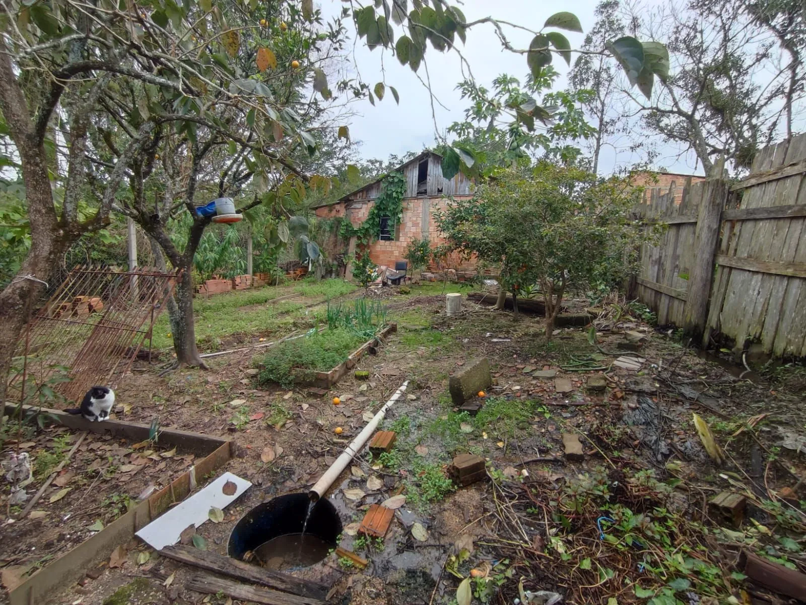 Imagem Casa no bairro Hípica