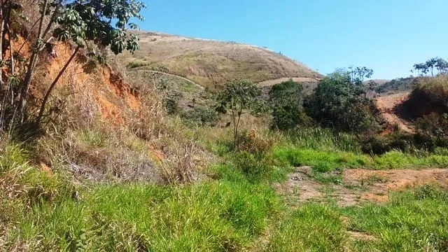 Imagem Chácara à venda Zona Rural, Lavrinhas - SP