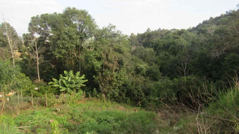 Imagem Casa para Venda em Concórdia, Santo Antônio, 2 dormitórios, 1 banheiro