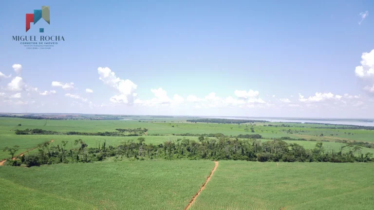 Imagem Fazenda a venda