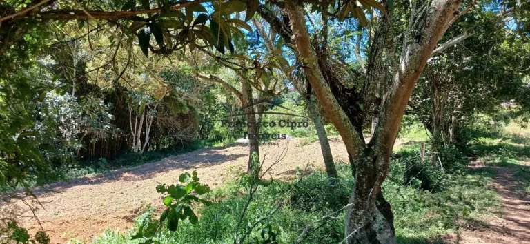 Imagem Fazenda à venda no bairro Campos Novos - Cunha/SP