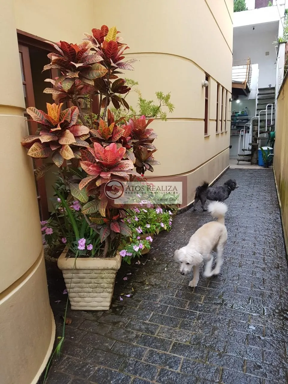 Imagem Sobrado Portal Morumbi - São Paulo