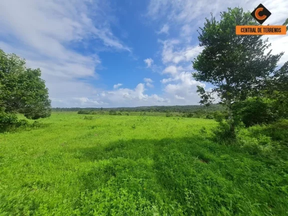 Imagem TERRENO EM BARRA DE POJUCA - LINHA VERDE