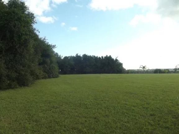 Imagem Belo Sítio com 4.000m², Cercado, Águas Claras, Viamão