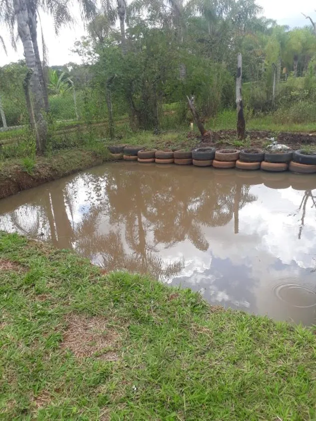 Imagem Venda de Sítio em Igarapé/MG / com 8.000 m²