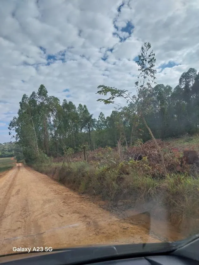 Imagem Vendo excelente fazenda em Lagoa da Prata/MG 376 hectares de terra