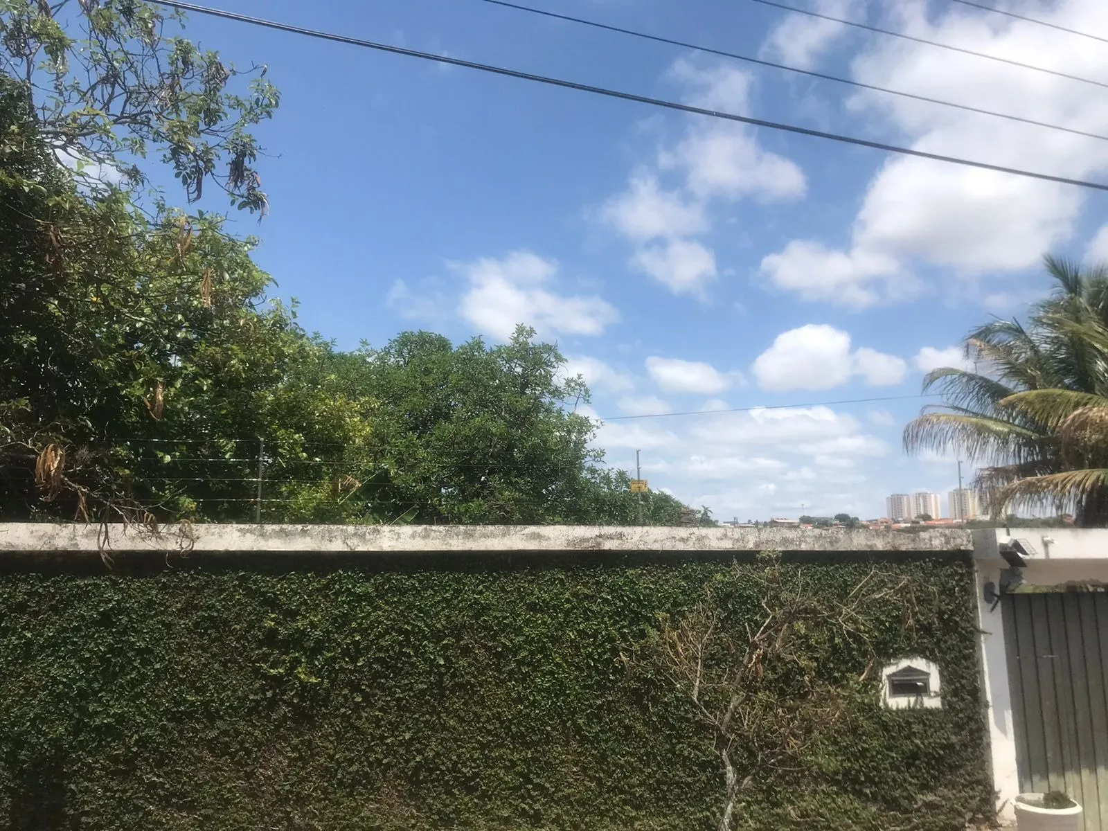Imagem Excelente Área no Bairro Jardim Simus dispondo de 9000m².