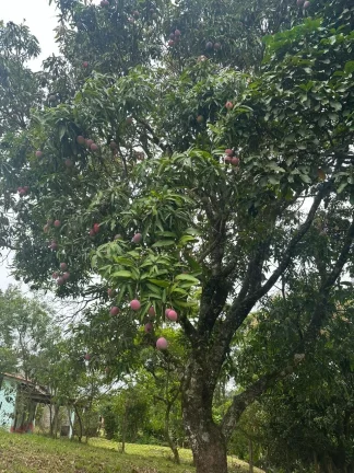 Imagem EXCELENTE TERRENO 1.100 m² PARA VENDA NO VIVENDA - JUNDIAÍ SP