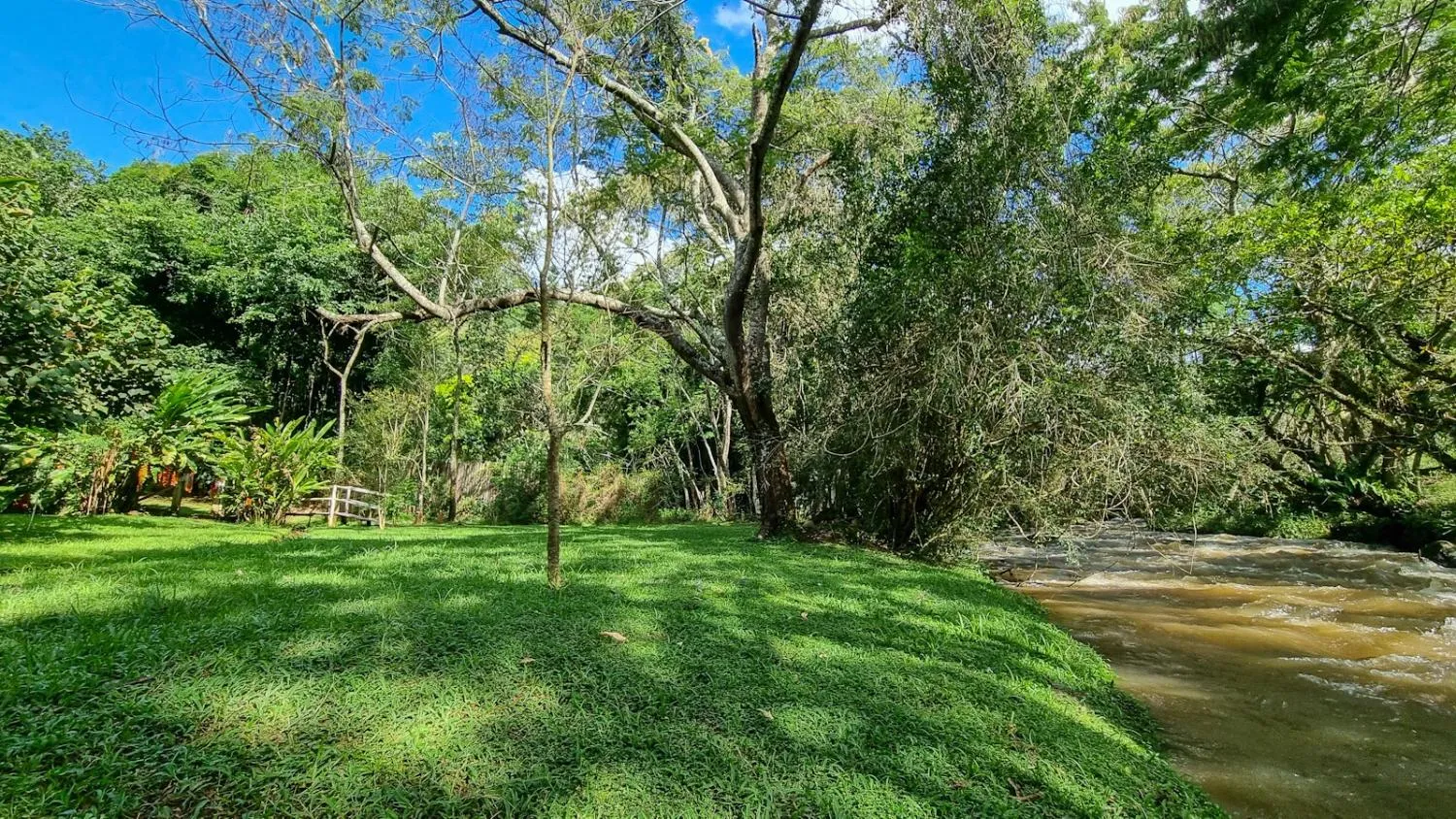 Imagem Oportunidade de Compra: Sítio/Chácara em Joanópolis, SP