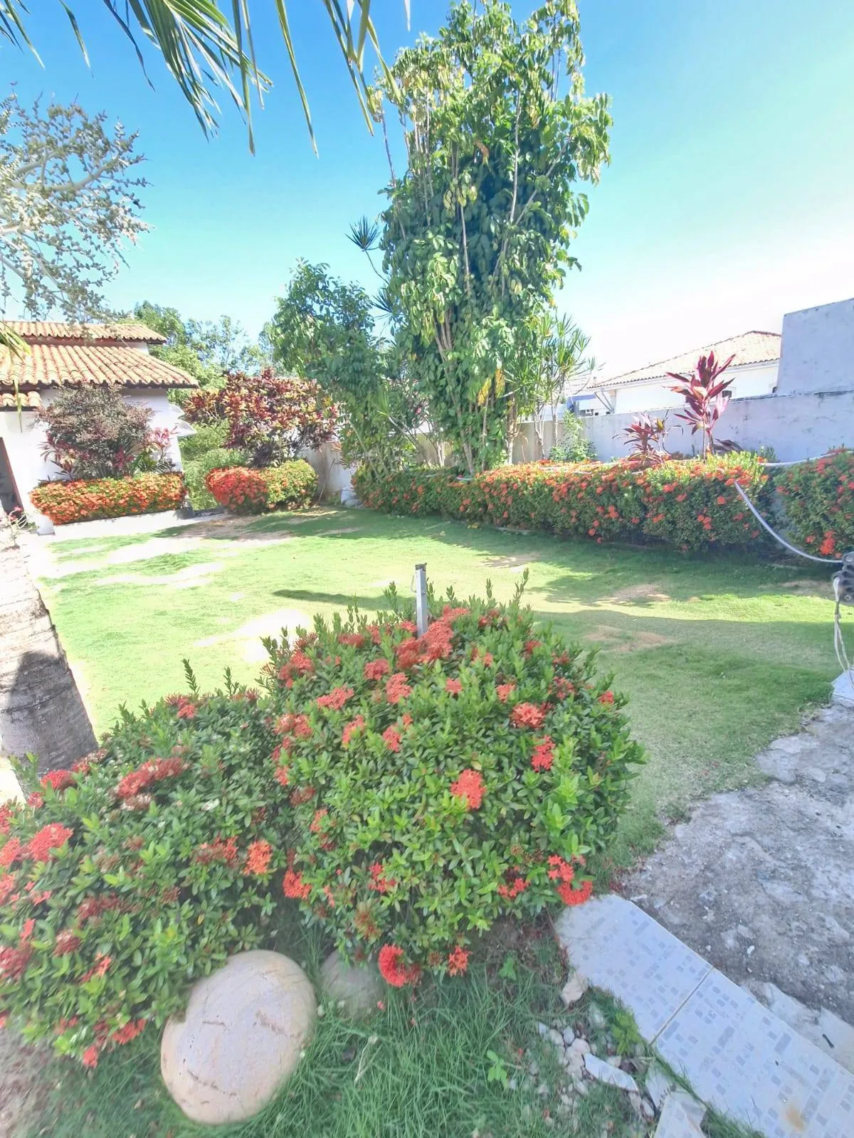 Imagem Casa com 5 quartos, 755m2, à venda em Salvador, Itaigara