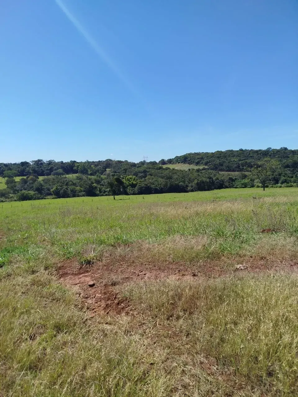 Imagem Fazenda à Venda, 28 Alq. GO em Área Rural de Itumbiara - Itumbiara