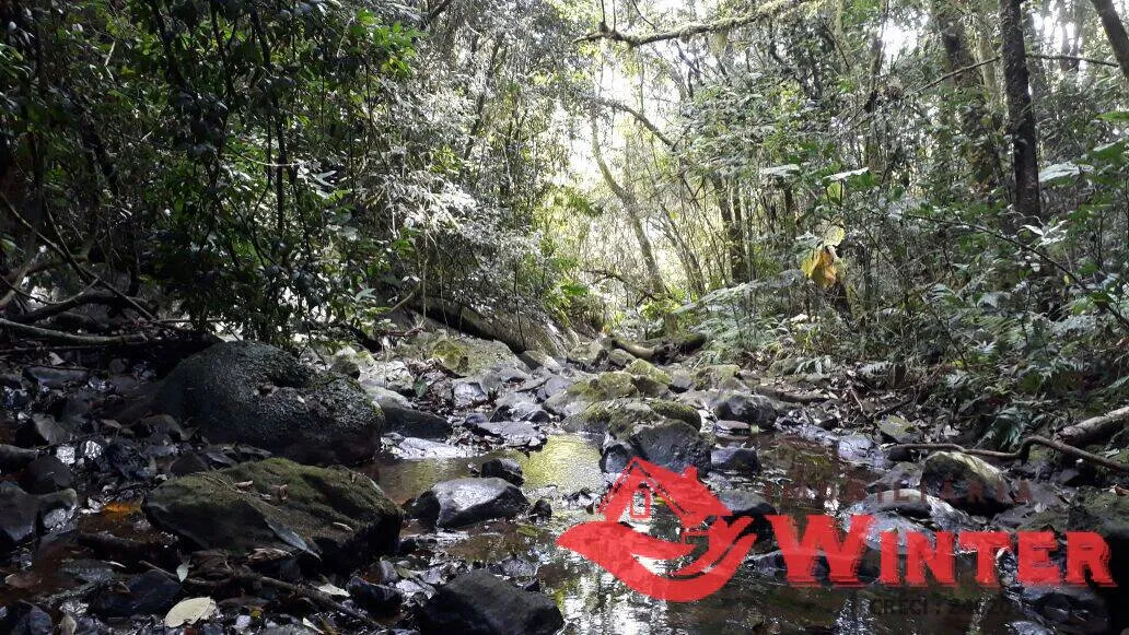 Imagem Área de terras com 21.000m² a venda no Canto Chuchu, Feliz