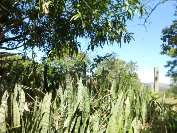Chácara à Venda, 20.000 m² em Sousas - Campinas