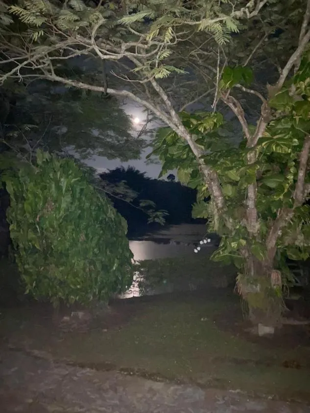 Imagem Sítio em Esmeraldas/MG , com 15 hectares (150.000 m²).