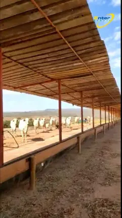 Imagem Fazenda à Venda, 297 HAem Paranoá - Brasília