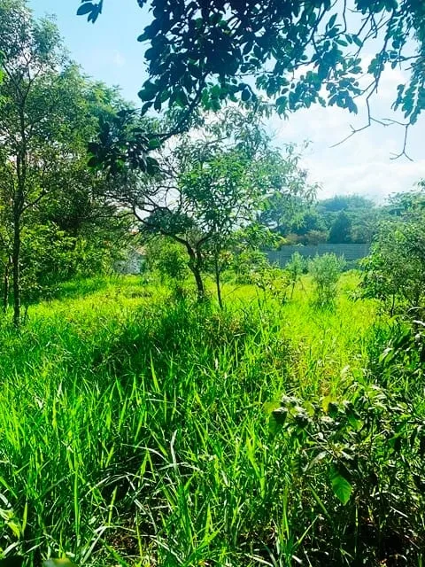 Imagem Terreno à venda 1500M², Goiabal, Pindamonhangaba - SP